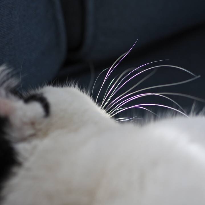 8ad1cc37 313f 4d9d 8527 36f8c293760a