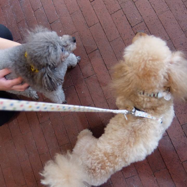 8ad1d4cf 11eb 4ca1 a3c7 482f7dbeced2