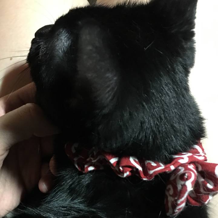 8ad23964 b409 4e99 9d69 23e95bba1d29