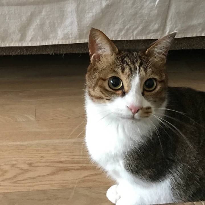 8ad250db 35bb 4405 99a8 d9dfde0db74f