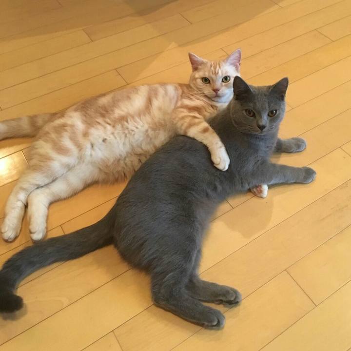 8ad26969 bd10 4af6 b293 0465f8f26f21