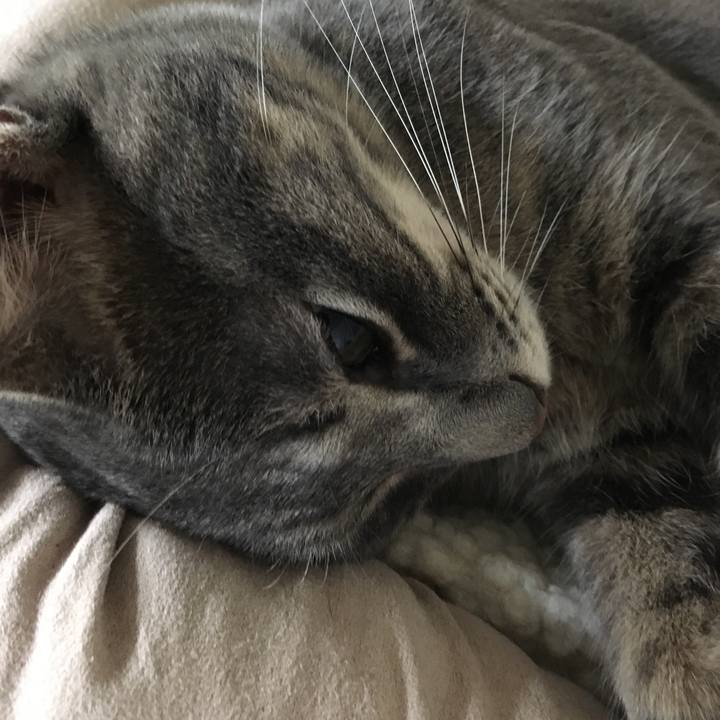 8ad2d1f7 c95c 435a b102 499ca991fab9