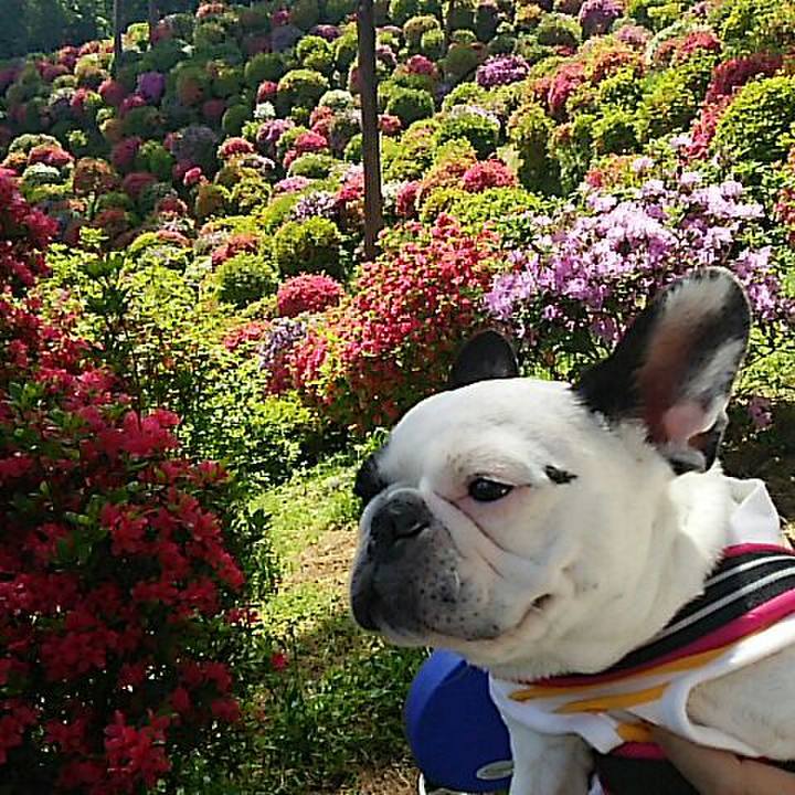 8ad3803c ec5b 4fcd 9b78 ea1e3fc48f99