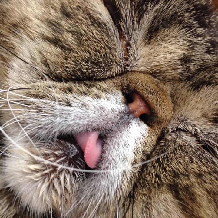 8ad42314 ade1 484d ad23 980f8487eeb5