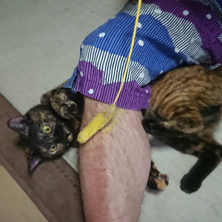 8ad54ab6 102f 46b7 ad3c c42bb8609869