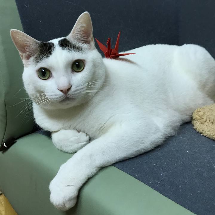 8ad58fb3 cdf9 4188 8e05 c8cf5ab17aaa