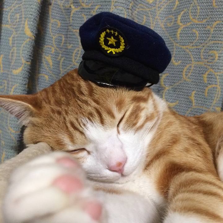 8ad5b8e8 b14a 468c b293 a57a604f3419