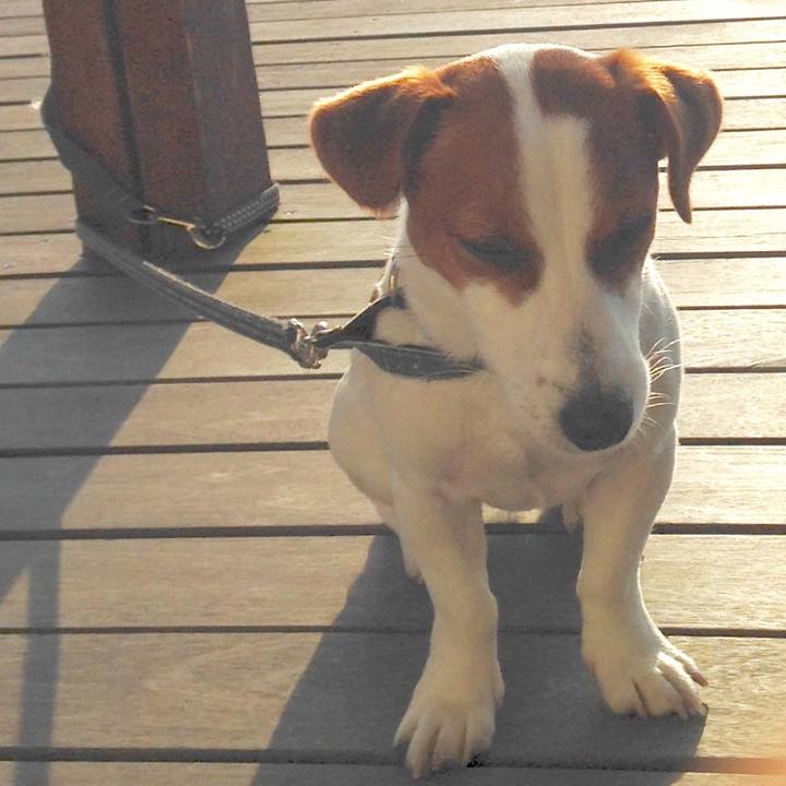 8ad68262 316f 422c 81b7 56f6d7e56cd4