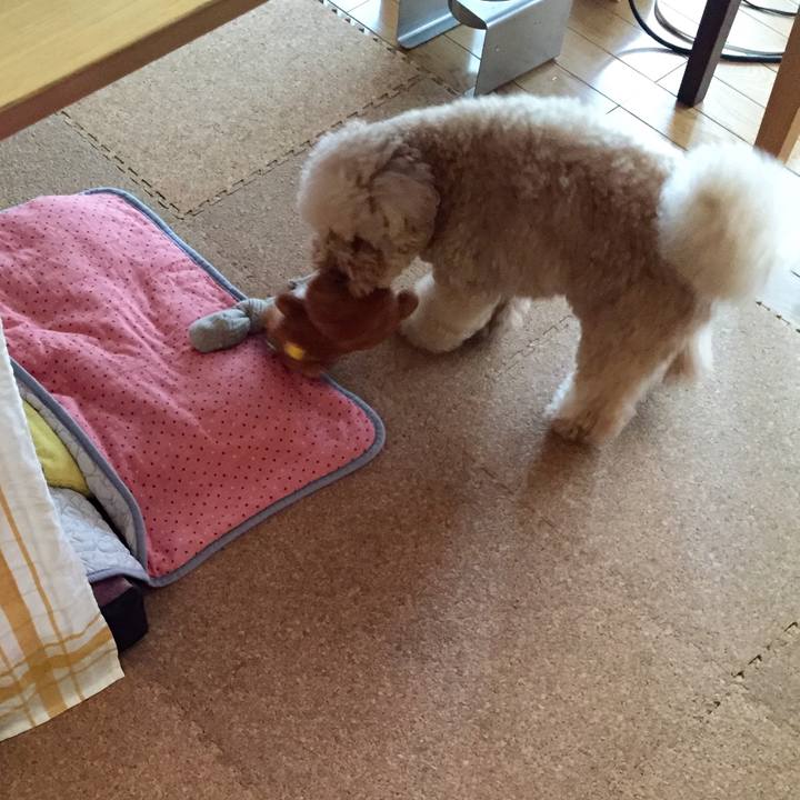 8ad68ccf 9fac 417d a761 9e355e8da478