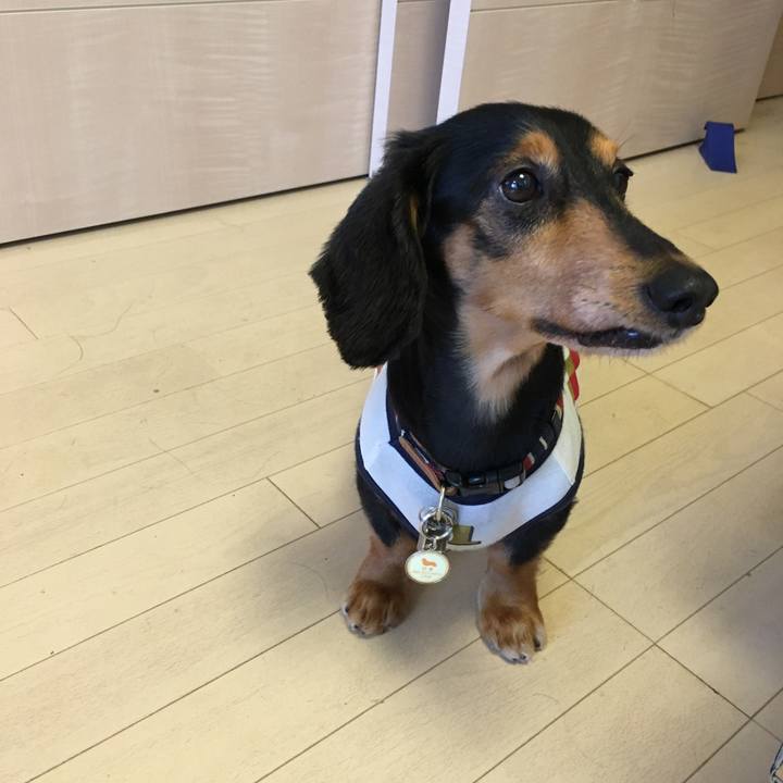 8ad7032a cc88 40dd bf44 e79b2a972728