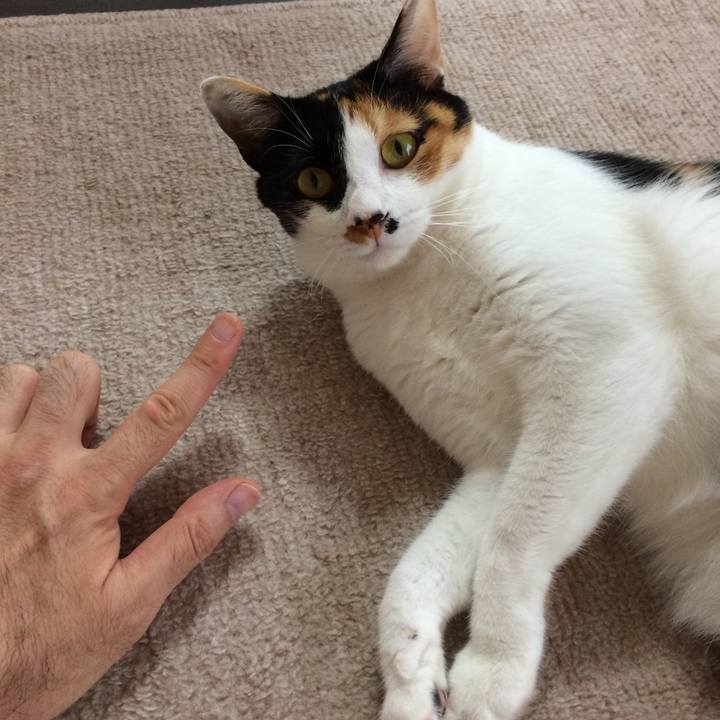 8ad70dec e27b 435b 9def 1f48d7843b2e