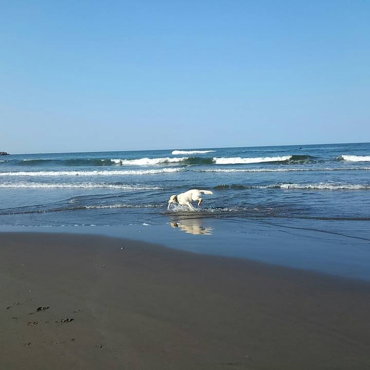 8ad84f74 e1e1 4f7a a5ee 04e41124ec4a