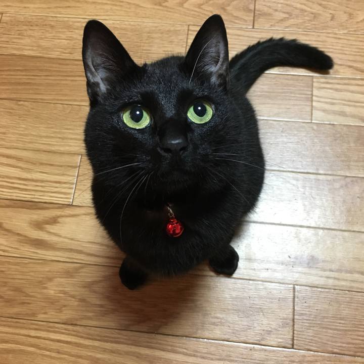 8ad87699 d364 4e9a a3e6 fda727ca0b29