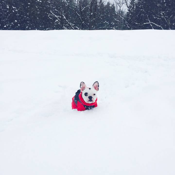 8ad88b55 c1c7 46cd aed6 2f8a9ff003b4