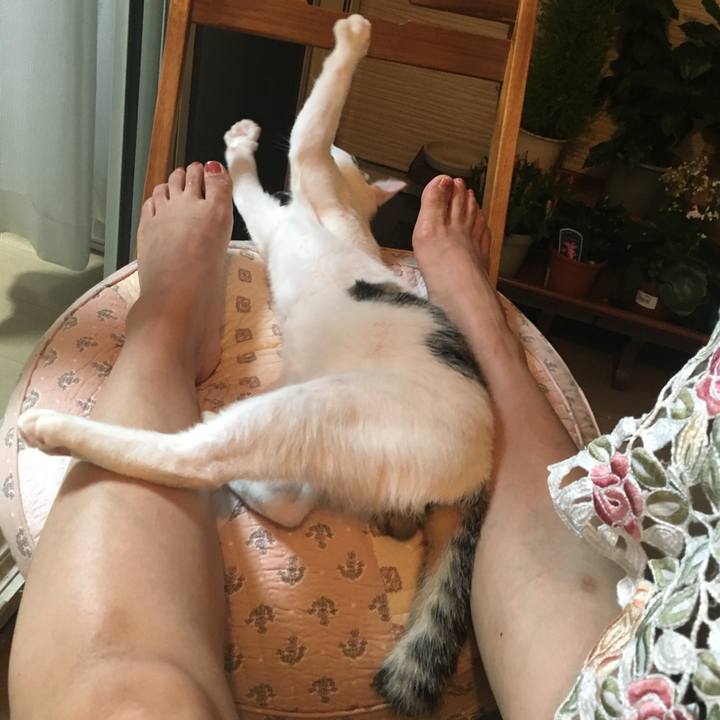 8ad8b815 0645 43d9 905b 6f870dda70ed