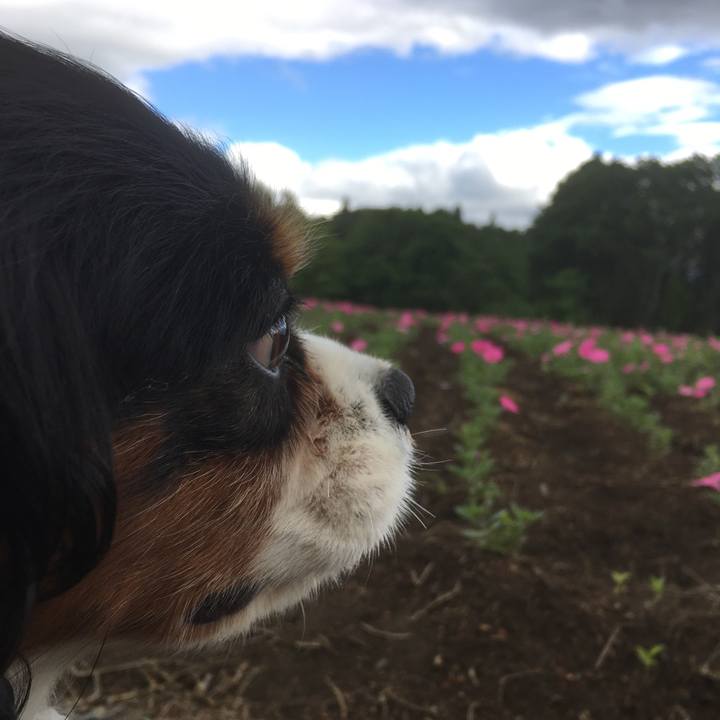 8ad945f6 9236 4263 bab0 fb2cf89e49b5