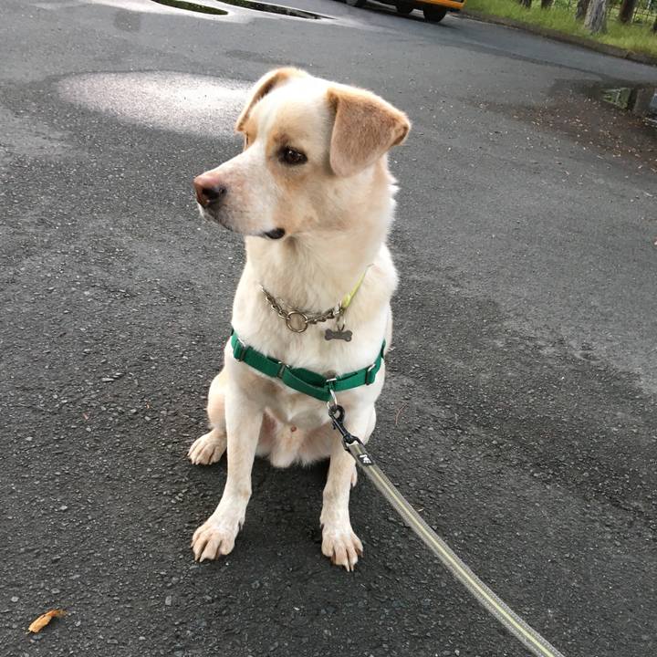 8ada35b3 b24d 4928 8204 353054bc156b