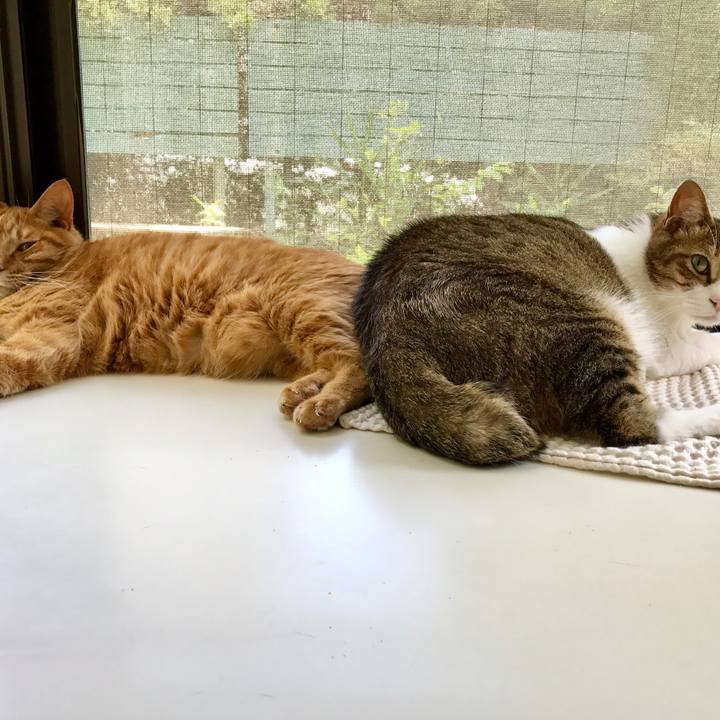 8ada38fa 138f 496d a811 0e1d4115b9fb