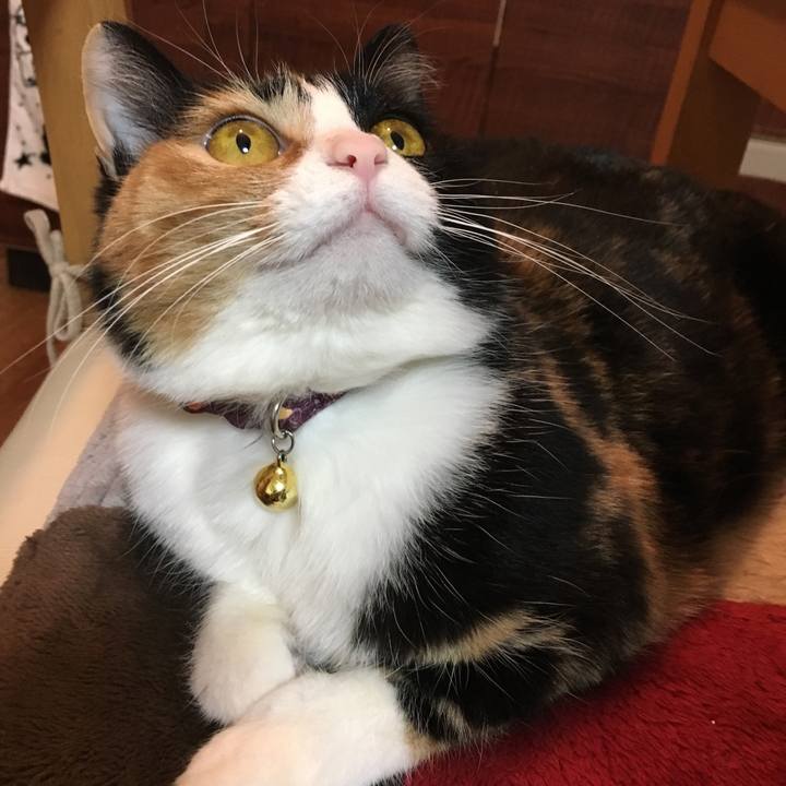 8ada665b 9f80 49ce a88b 5bc97af3e64e