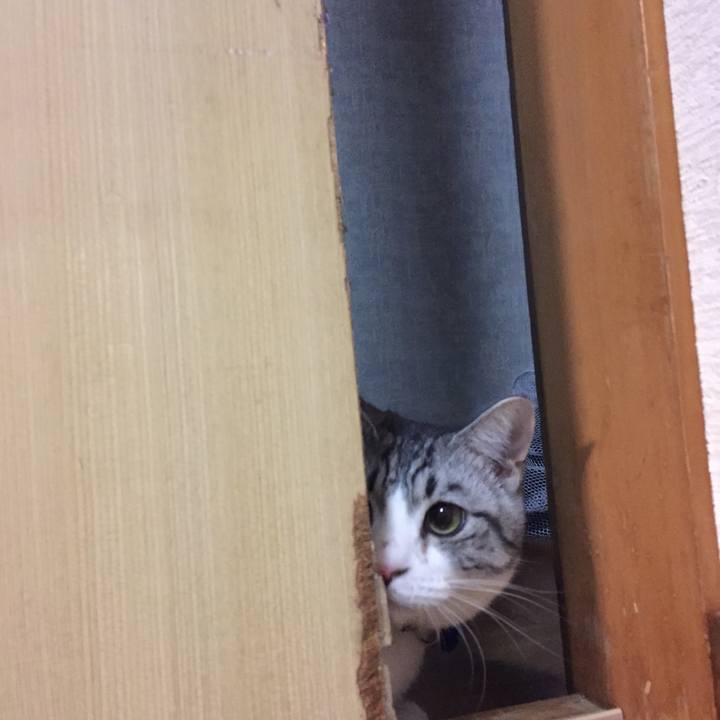 8ada6734 6afc 4b82 985c 504122695387