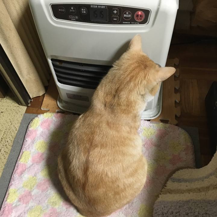 8adaa5c6 3447 4e50 8793 f0c052129d27