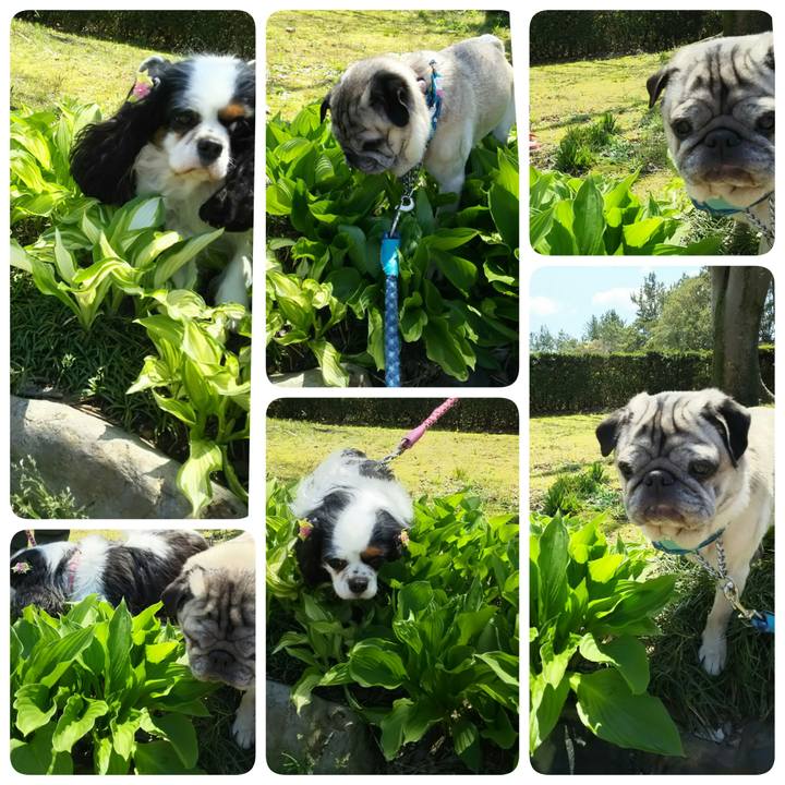 8adac35d 8694 4bfc 8bc3 9e3fbde7f499