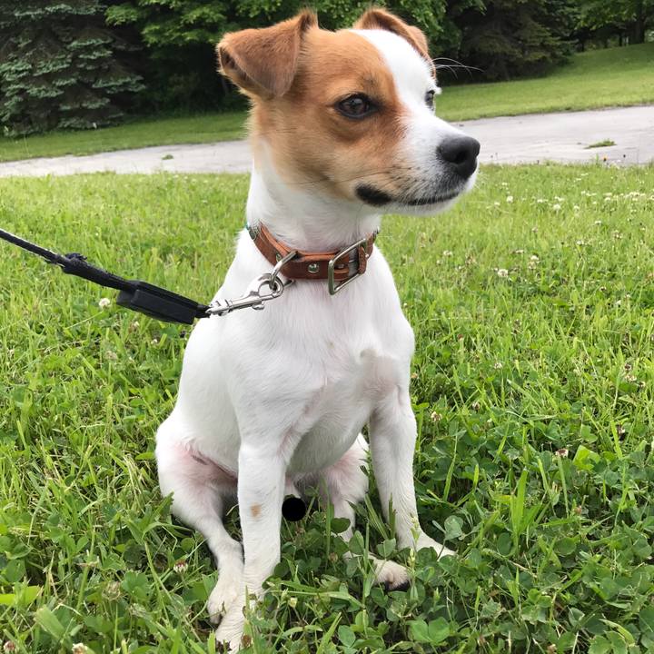 8adb06ef d21f 4e37 86f5 1996dbcc1afe