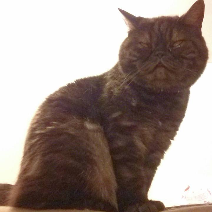 8adb8c3b bba3 4e8f b197 dd99d3846401