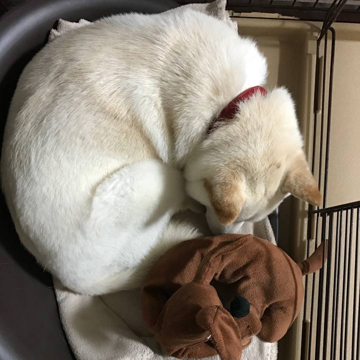 8adbd346 8ccb 4da6 be53 49f4d9f55ce5