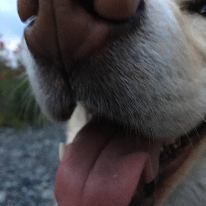 8adbfabe 870f 4a46 85a0 fef7339b72d0