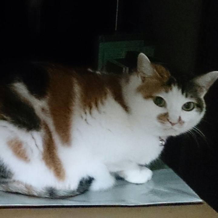 8adc6ab8 4880 4054 9d78 08650f7d076f