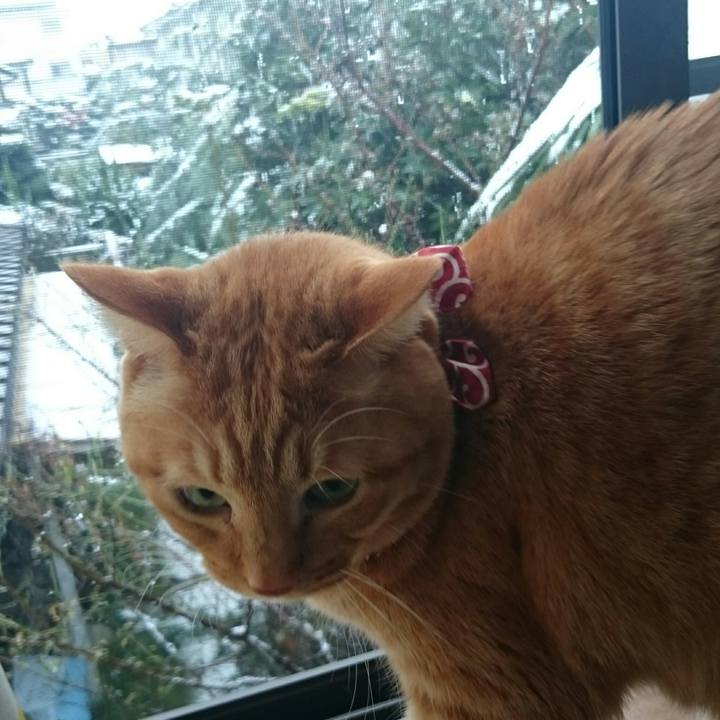 8adcf244 aacf 488c b277 295df65b1541