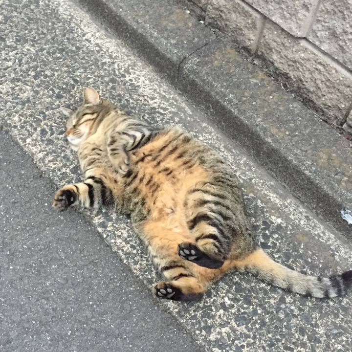 8add980e a695 4355 a7fa ff9e88f274bd