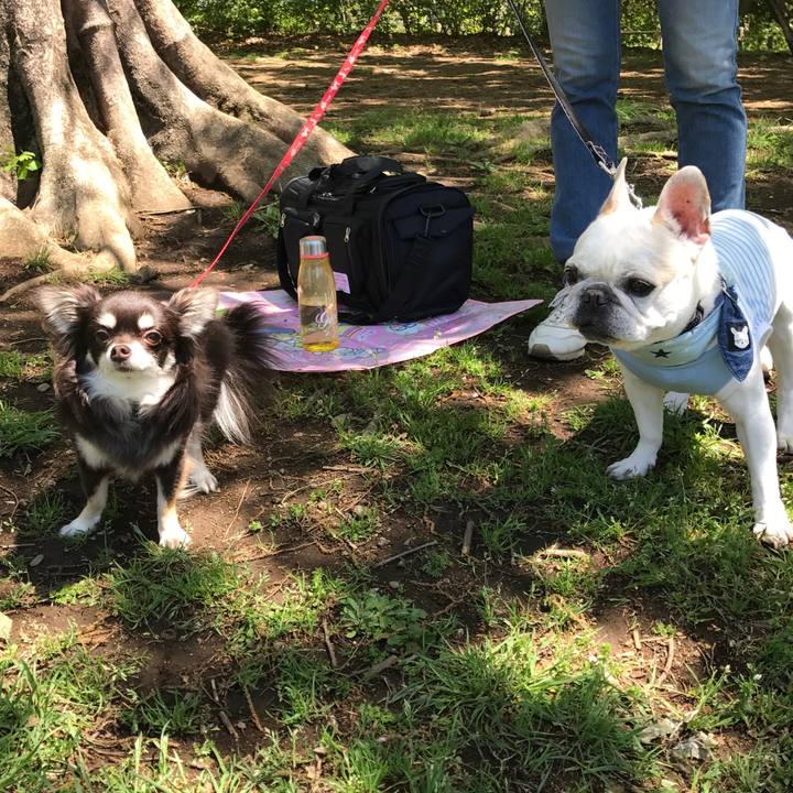 8addca39 3207 42b0 babf a0467cd731dc