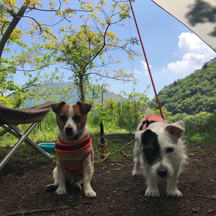 8ade5934 2a08 4b5d a632 51bc43d990f3