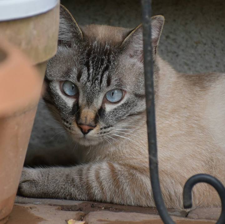 8adeb7d4 4761 4fa3 aea2 9911256d072c