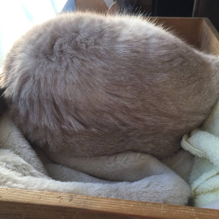 8adf0375 62fb 4895 9281 8ff44142d394