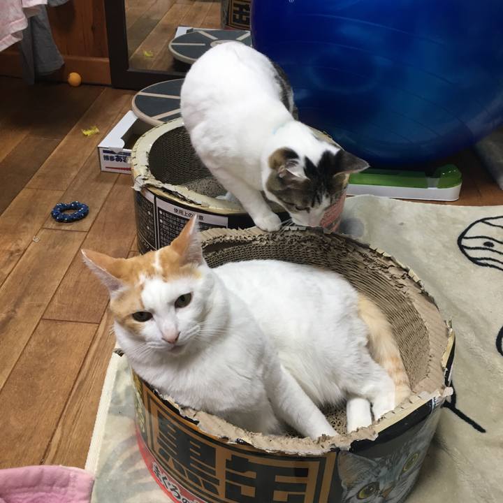 8adf2775 68f2 4982 89e3 59f772cb66cf