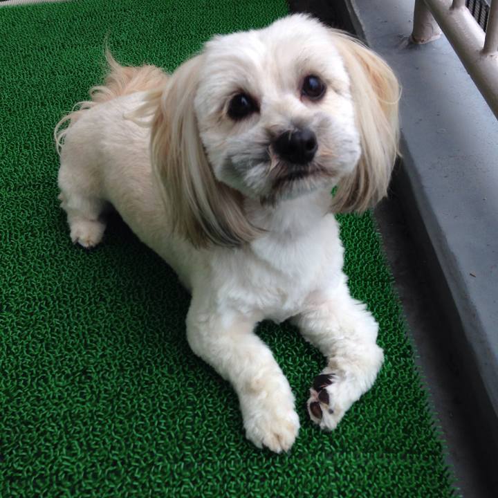 8adf9ae3 b31c 4916 8b7b 82d4fbb68507