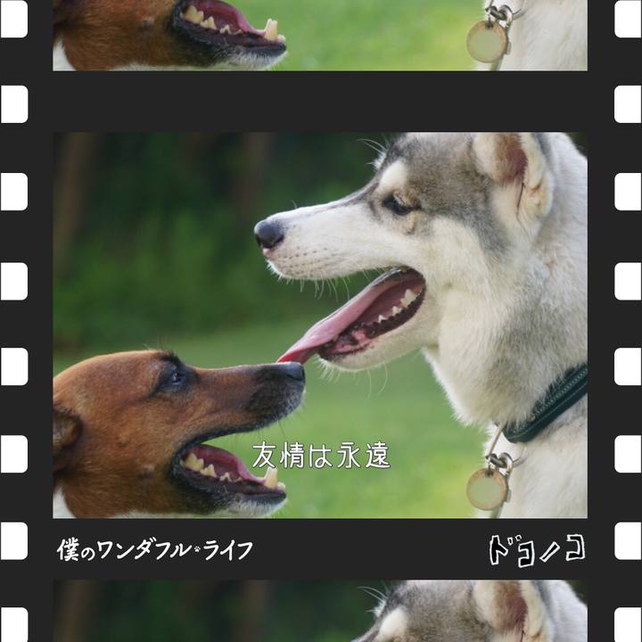 8adfba78 ac46 47cc 97da 5b450130824d