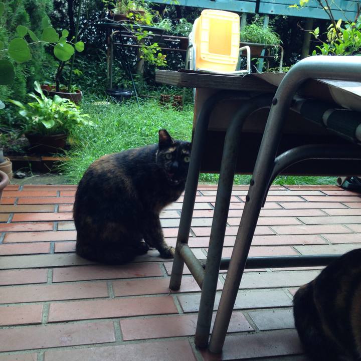 8ae17a5f 4286 4356 be05 5b9185b25064