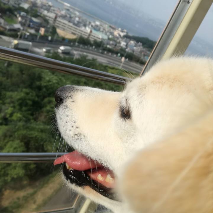 8ae1cd9b 7b11 4de6 9ea2 263217eb41d0