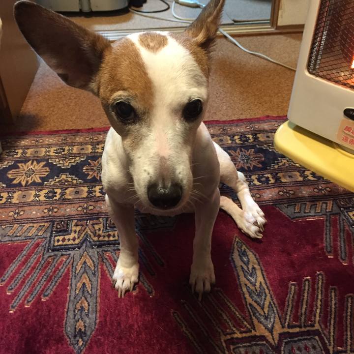 8ae1e9a1 21ba 4e1c 9a57 888a51502e38