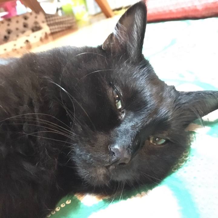 8ae2a66b 5167 455d b1ce 28415b53ade2