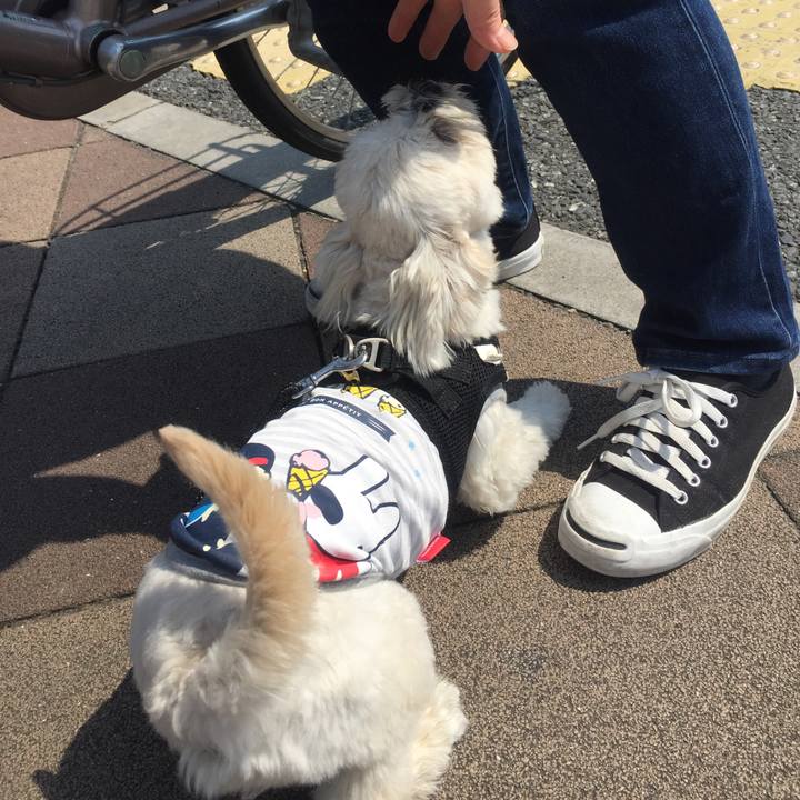 8ae378fc f534 4bd4 a531 9d5e5ef09156