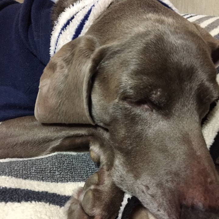 8ae46a47 803b 4d94 a05e 19c756b8b332