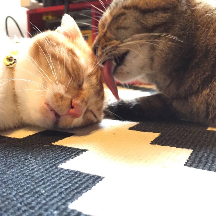 8ae4feed 952d 4a57 9f4c da05e76d098f