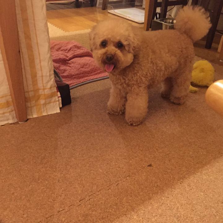 8ae5ba94 c911 4fc9 a4a0 0f8971ef3422