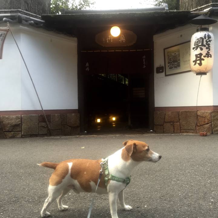 8ae62c51 f48c 4317 9153 1ba4cab72f64