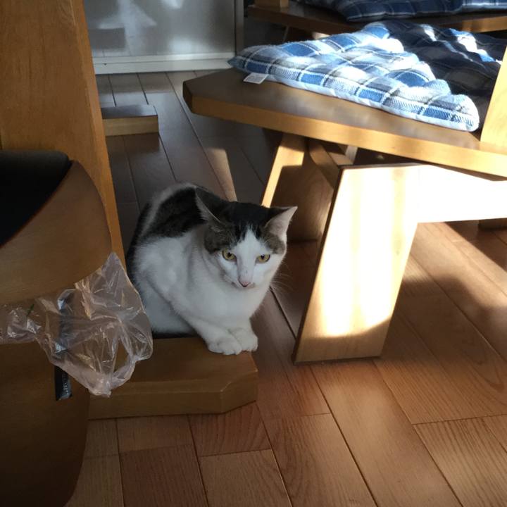 8ae63089 a566 4472 99ba 39d3503cda09